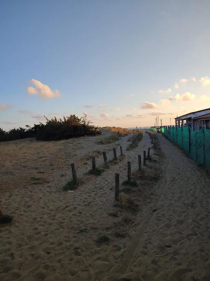 Domusauroom, Relax Nel Cuore Della Versilia - Pet Friendly Viareggio 0*,
