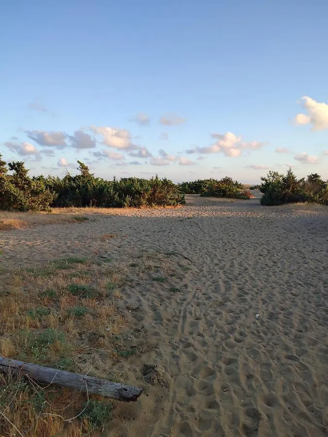 Domusauroom, Relax Nel Cuore Della Versilia - Pet Friendly Viareggio Apartment
