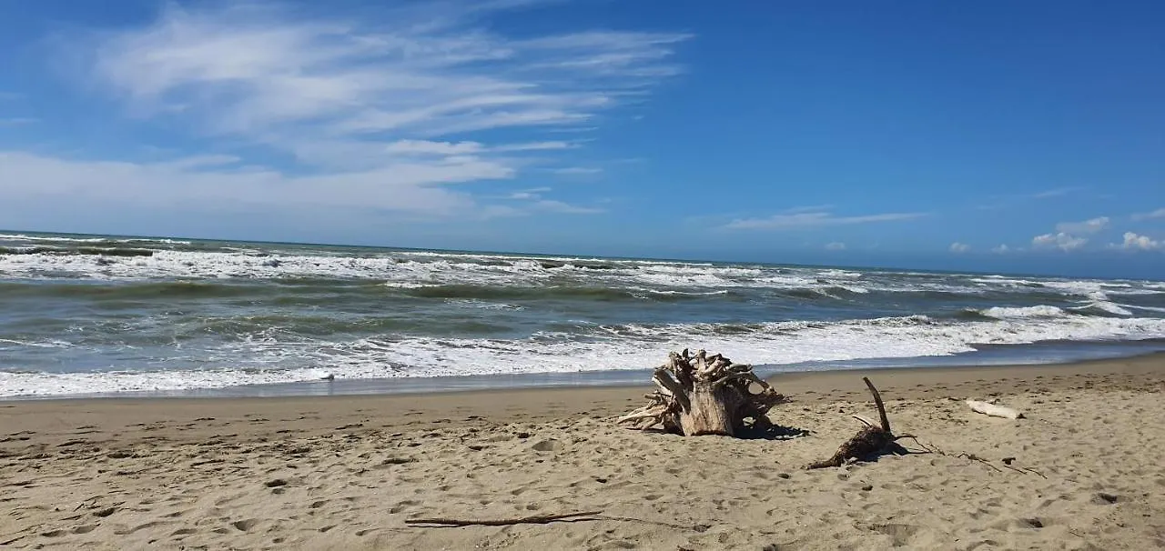 Domusauroom, Relax Nel Cuore Della Versilia - Pet Friendly Viareggio