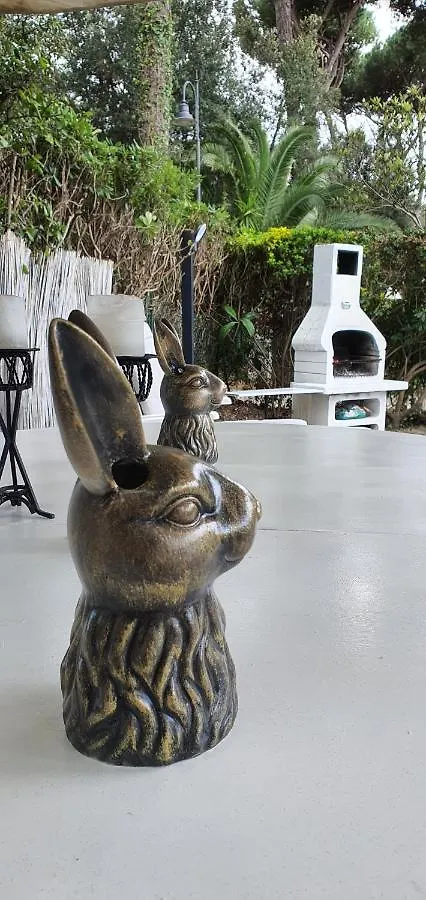 Apartment Domusauroom, Relax Nel Cuore Della Versilia - Pet Friendly Viareggio Italien