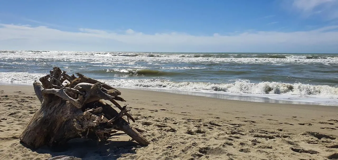Domusauroom, Relax Nel Cuore Della Versilia - Pet Friendly Viareggio Apartment