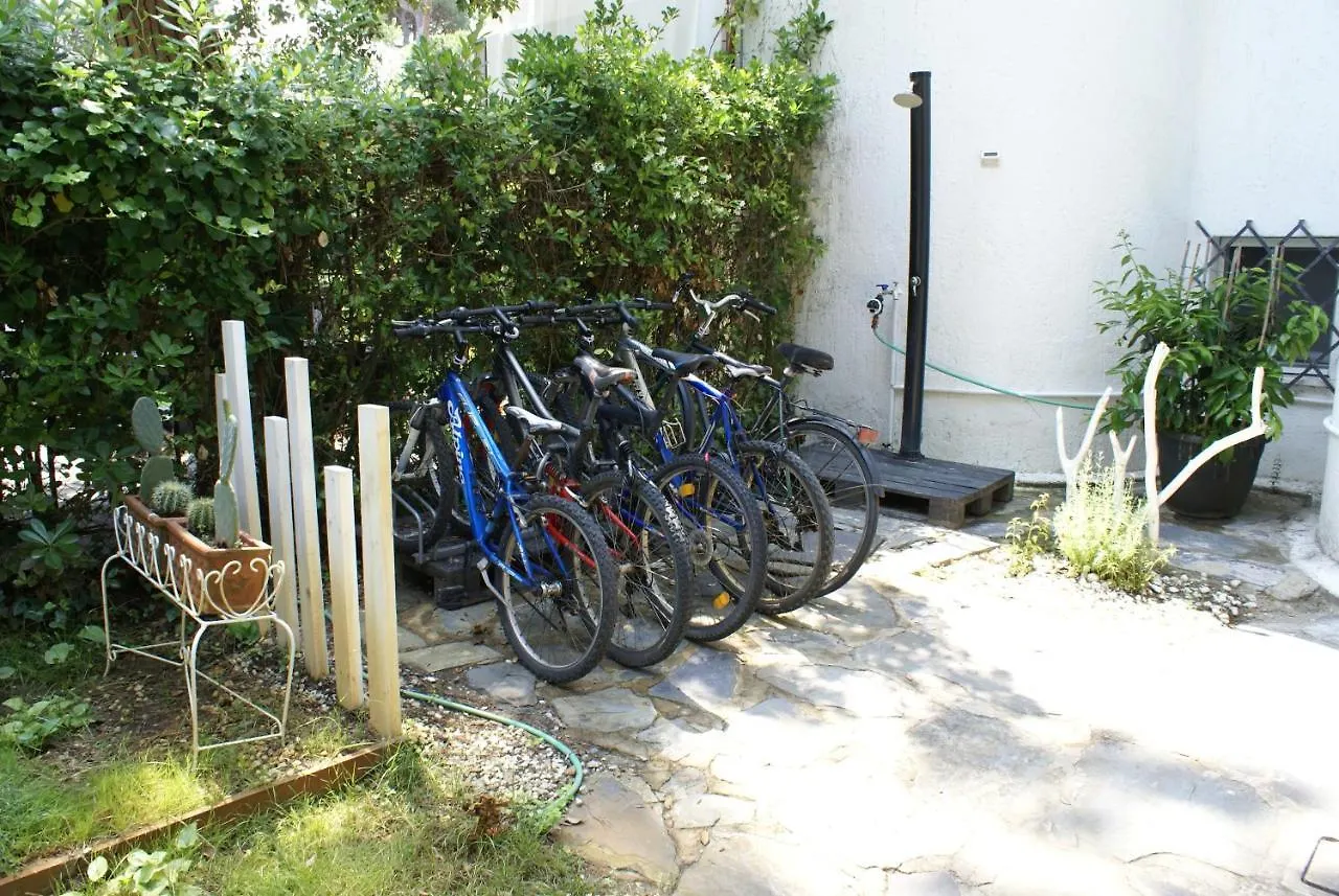 Domusauroom, Relax Nel Cuore Della Versilia - Pet Friendly Viareggio 0*,  Italien