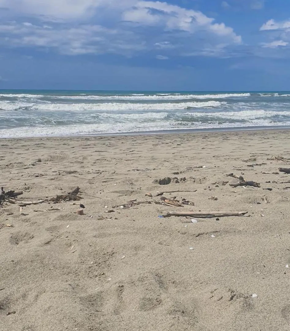 Domusauroom, Relax Nel Cuore Della Versilia - Pet Friendly Viareggio 0*,