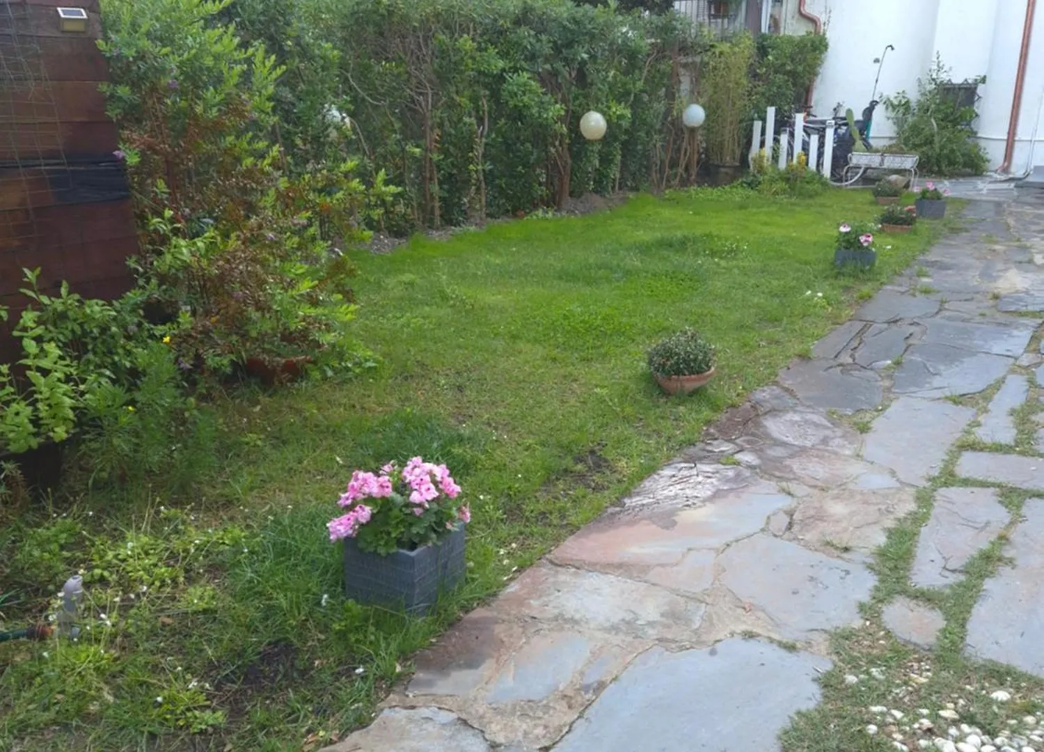 Domusauroom, Relax Nel Cuore Della Versilia - Pet Friendly Viareggio